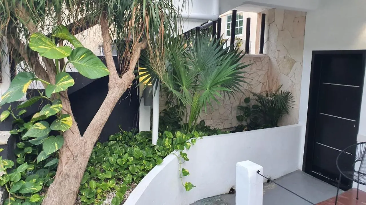 Hotel Beach Energy 5Th Av Playa del Carmen